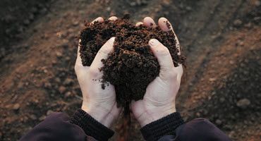Cultivating Sustainability: How Farmers Can Improve Soil Health and Become Better Stewards of the Land