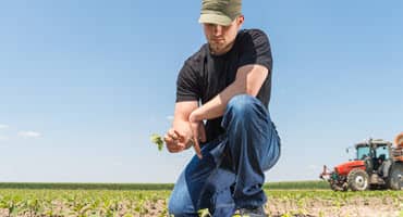 Farmers navigate wet conditions in Wisconsin