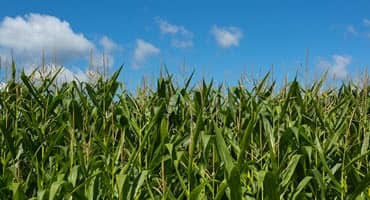 New York climate resilient farming funding unveiled