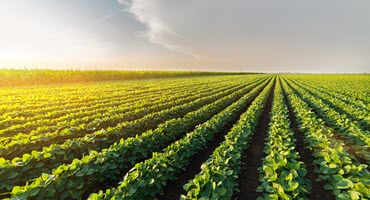 Michigan Launches Agricultural Climate Resiliency Program