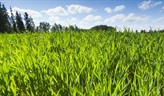 Bayer partners with AlphaBio to launch innovative bioinsecticide by 2028