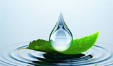 Iowa Department of Agriculture Invests in Urban Water Quality Projects