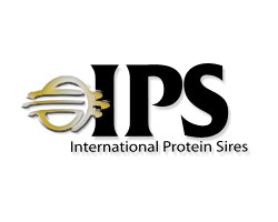 IPS Sires