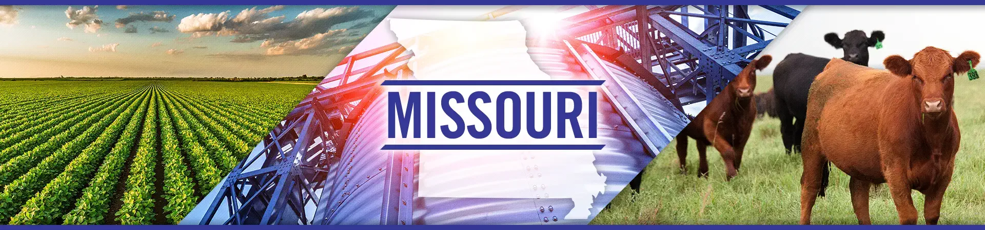 Missouri agriculture