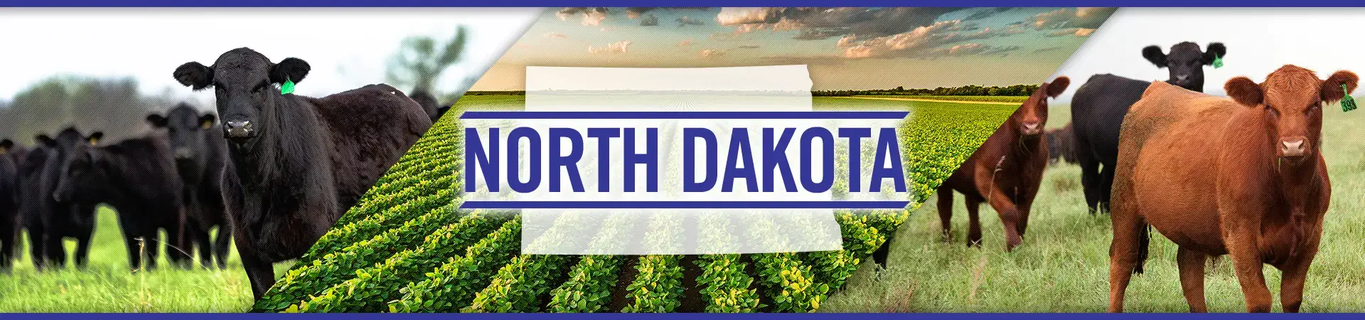 North Dakota agriculture