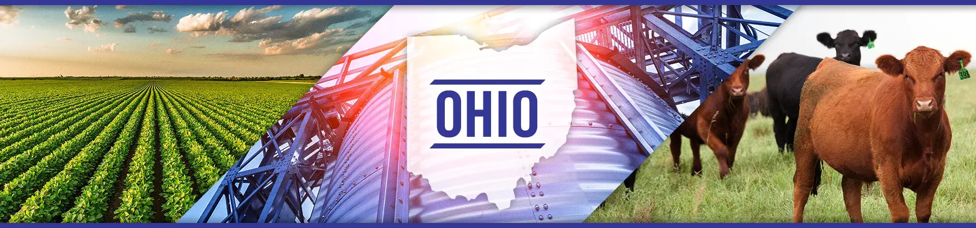 Ohio agriculture