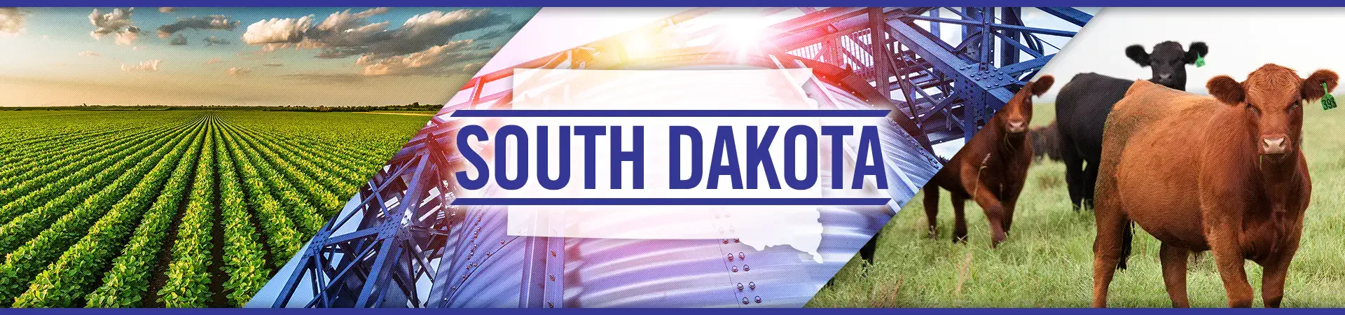 South Dakota agriculture