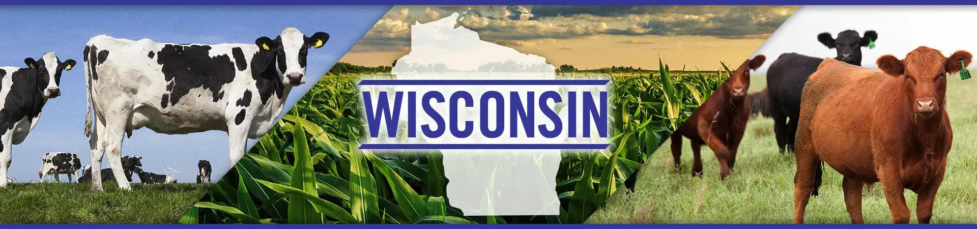 Wisconsin agriculture