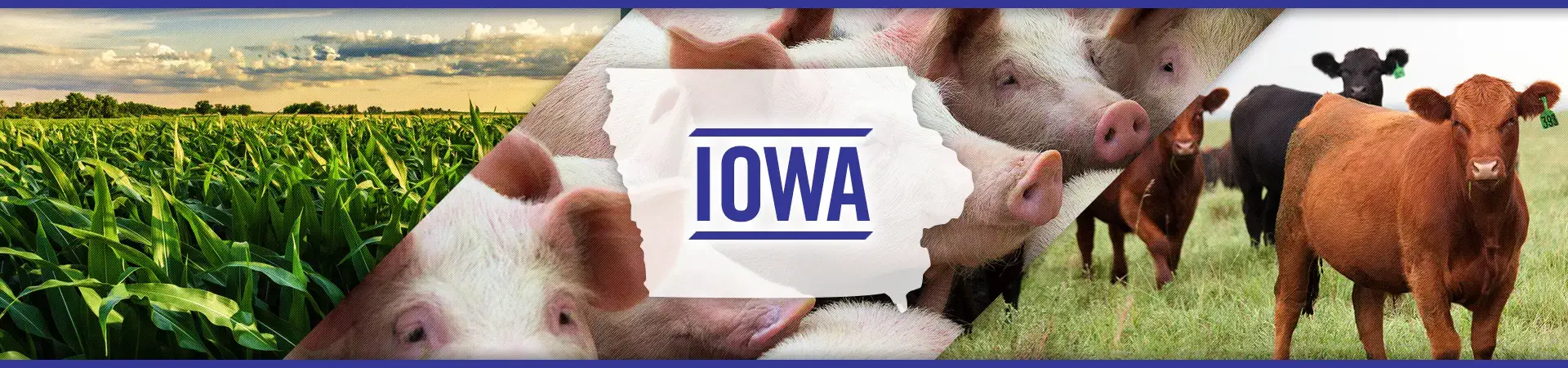 Iowa agriculture
