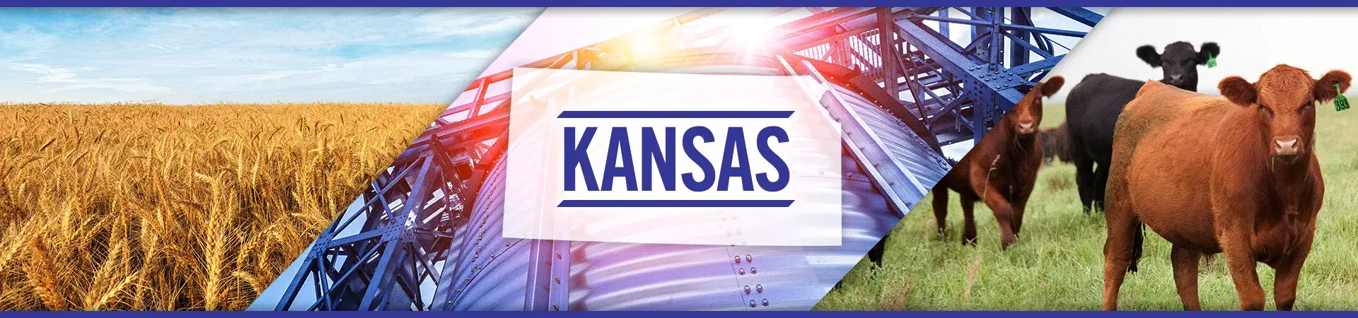 Kansas agriculture