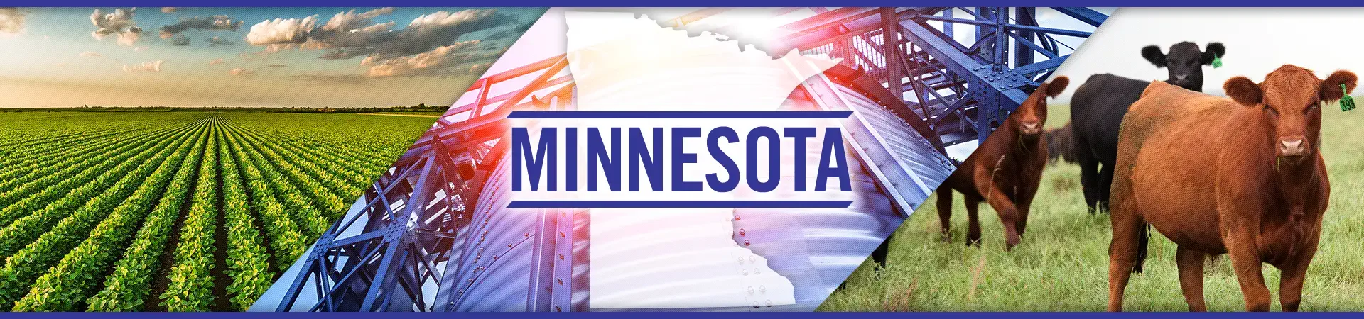Minnesota agriculture